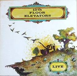 13th Floor Elevators : Live